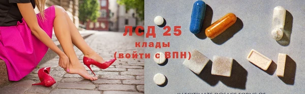 трава Аркадак
