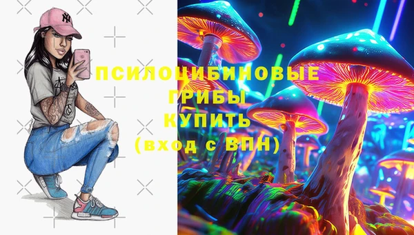 PSILOCYBIN Армянск