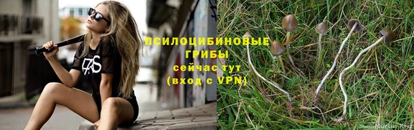 PSILOCYBIN Армянск
