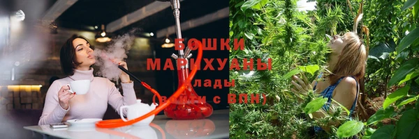 PSILOCYBIN Армянск